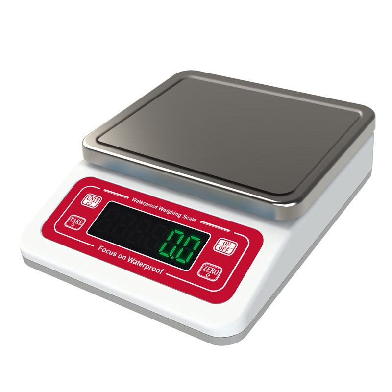 ACS-ZE55 Small waterproof food scale